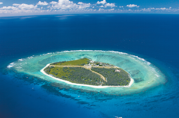 lady elliot island great barrier reef