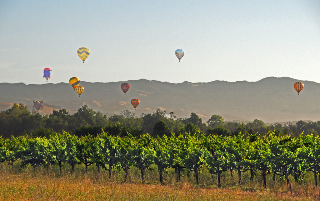 Sonoma County - Head to the USA