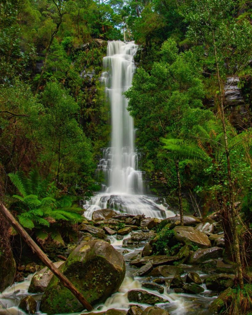 Erskine Falls, Victoria - Best Waterfalls Australia