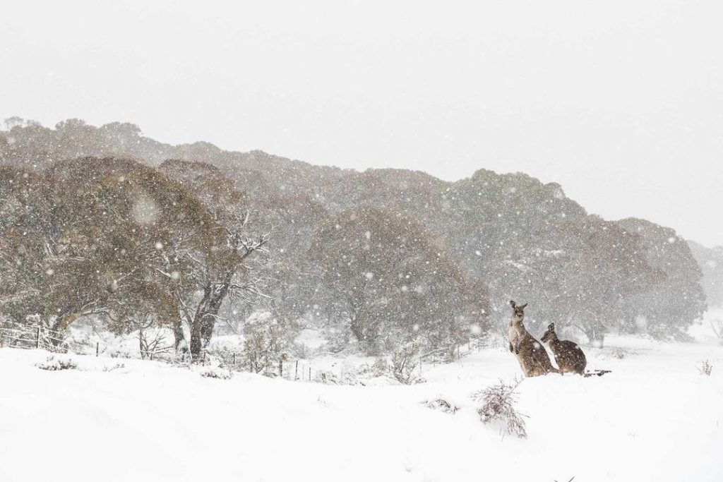 11 Best Winter Experiences to Have in Australia
