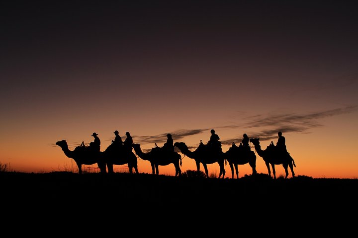 Things to do in Northern Territory - Camel rides